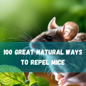 100 Great Natural Ways To Repel Mice
