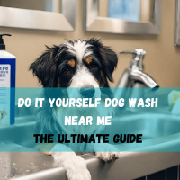 do it yourself dog wash near me - the ultimate guide